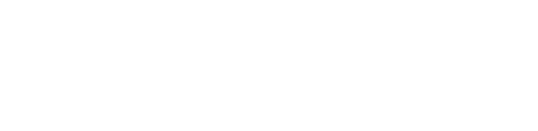 Bengurion University Logo