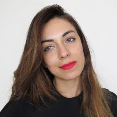 Aleja Radi